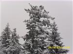 201301241420060000