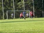 201008221737580000