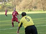 201010301351560030